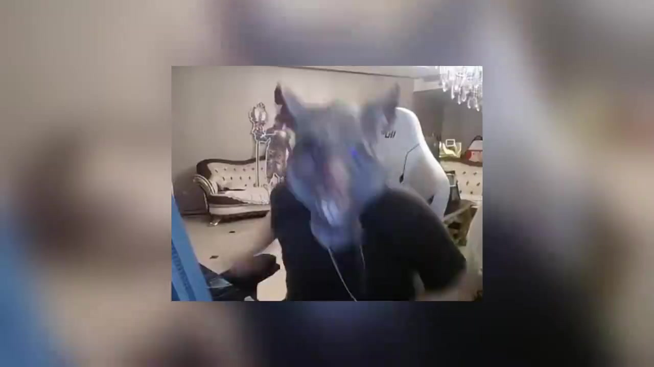 png电子网站姿态做情商测试题花20块钱看报告：这钱一付感觉我智力是真有问题